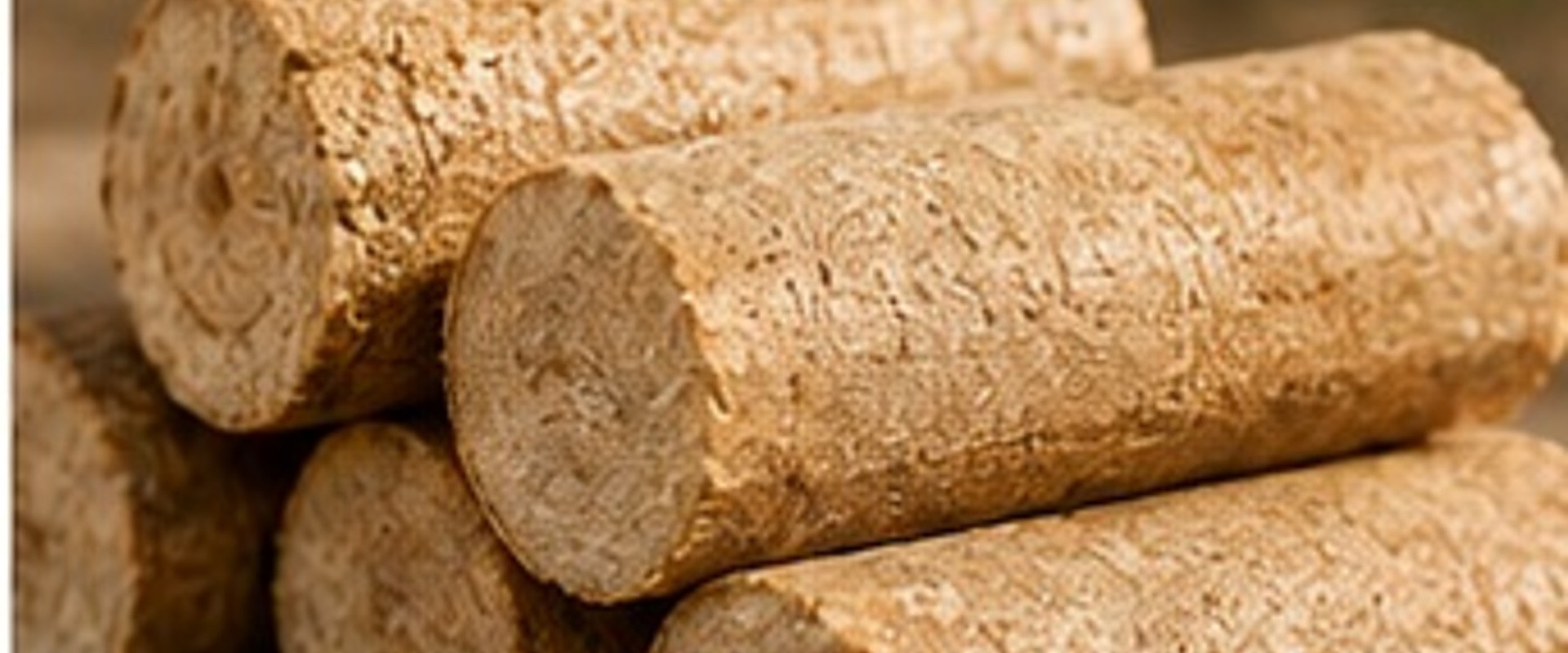 Compressed wood briquettes photographed in a natural outdoor setting
